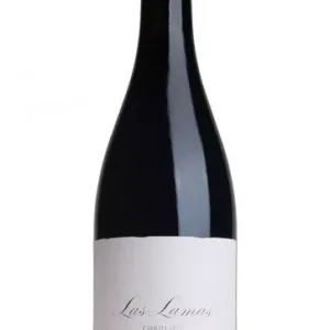 2022 Las Lamas, Descendientes de J. Palacios, Bierzo, Spain