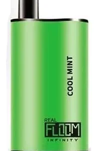 Cool Mint Real Floom Infinity 4000 Puffs