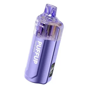 Vapgo PUFFUP vilso NIX 25K Disposable Vape (5%, 25000 Puffs) - Georgia Peach