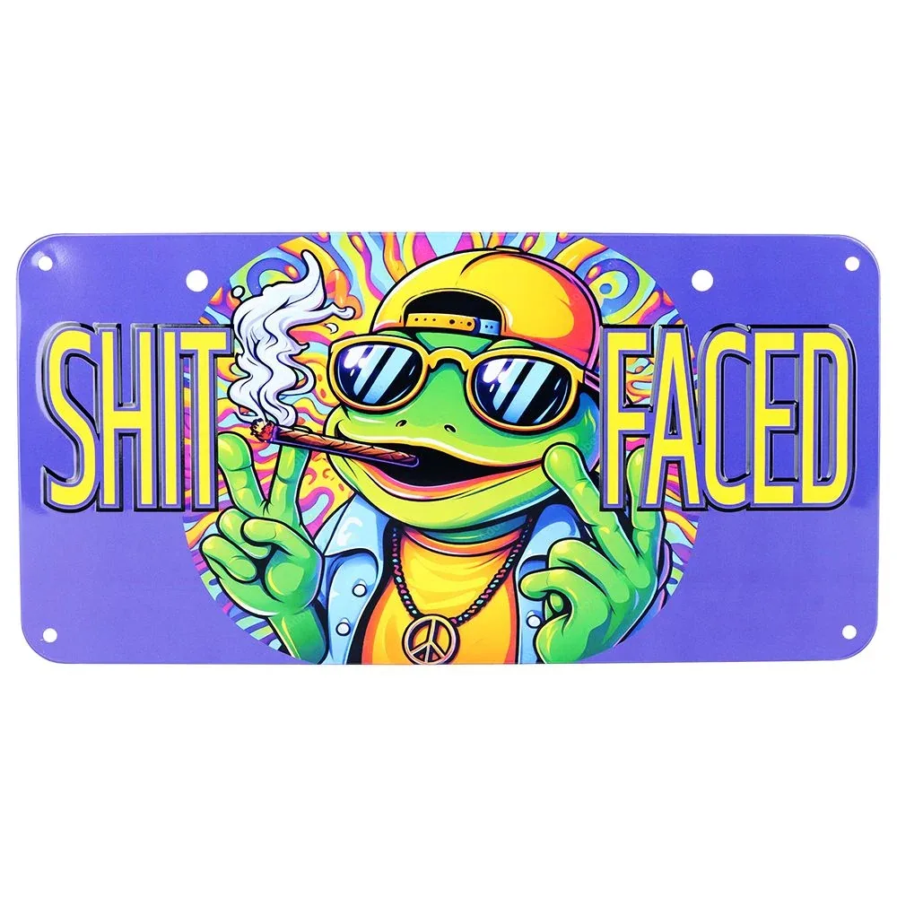 Novelty Embossed Metal License Plate | 12"x6" - Image 2