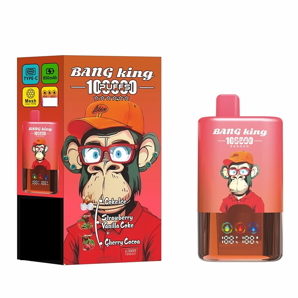 BANG KING 100000 Puffs DSK061 3-in-1 Disposable Vapes Wholesale Bulk Buy High Capacity 100K Puffs Mesh Coil