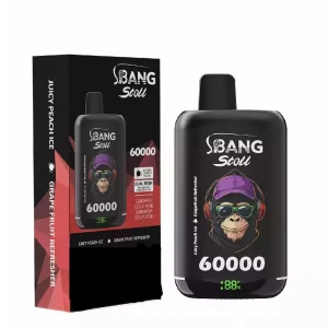 BANG LEADER STOLL 60000 60K Puffs Disposable Vapes 2IN1 Taste Mesh Coil Wholesale Bulk Buy