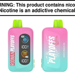 RODMAN PLAYOFFS DISPOSABLE VAPE
