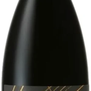 Vondeling Bowwood Pinotage 2022